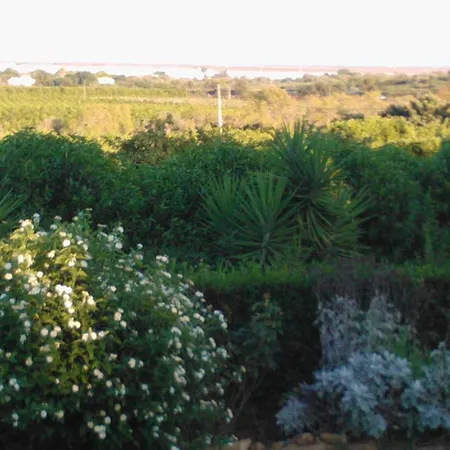 Quinta Da Moura Casa-de-campo 乡村民宿 塔维拉