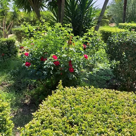 Quinta Da Moura Casa-de-campo 乡村民宿 塔维拉