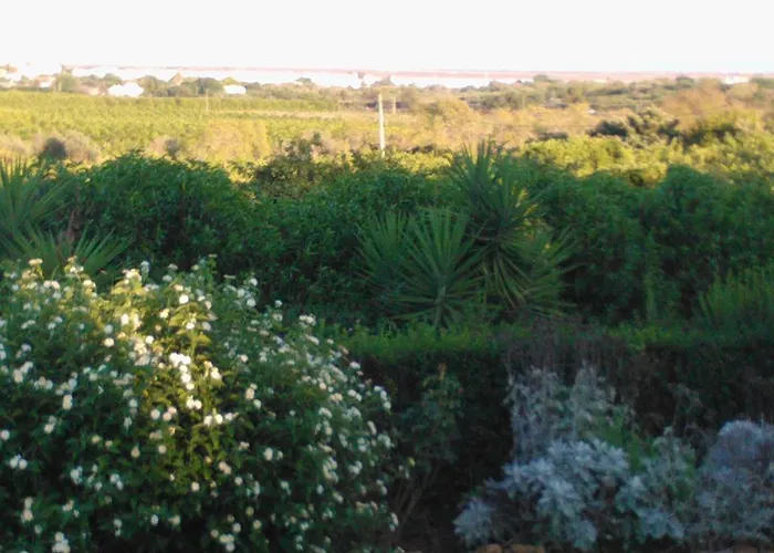 Quinta Da Moura Casa-de-campo Gospodarstwo wiejskie Tavira