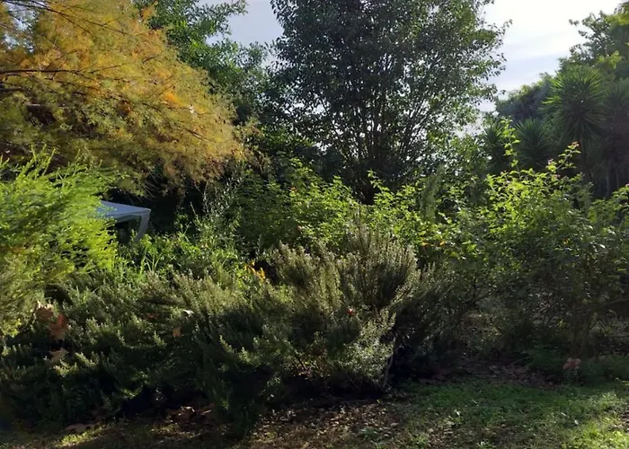 Gospodarstwo wiejskie Quinta Da Moura Casa-de-campo
